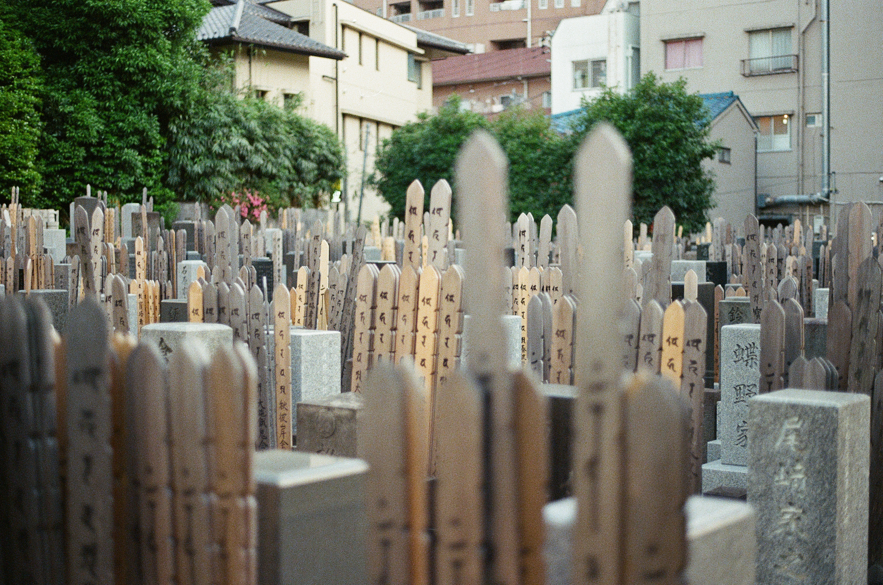 Tokyo - A cemetary with Wooden grave markers behind the tombstone.